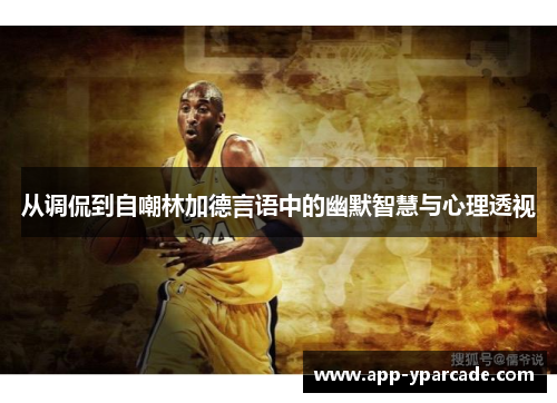 从调侃到自嘲林加德言语中的幽默智慧与心理透视