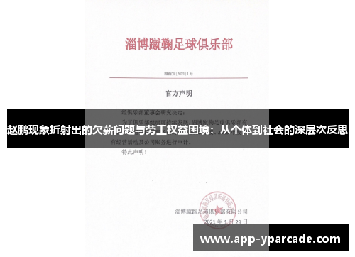 赵鹏现象折射出的欠薪问题与劳工权益困境：从个体到社会的深层次反思
