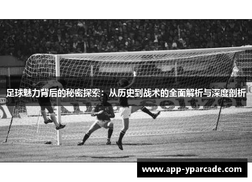 足球魅力背后的秘密探索：从历史到战术的全面解析与深度剖析