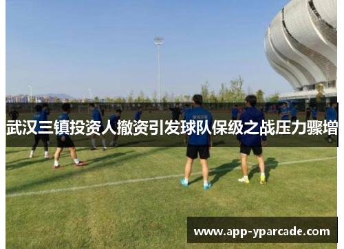 武汉三镇投资人撤资引发球队保级之战压力骤增 武汉三镇投资人撤资引发球队保级之战压力骤增