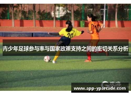 青少年足球参与率与国家政策支持之间的密切关系分析
